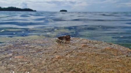 "The Philosopher" ©2013 Jimmie Olsson